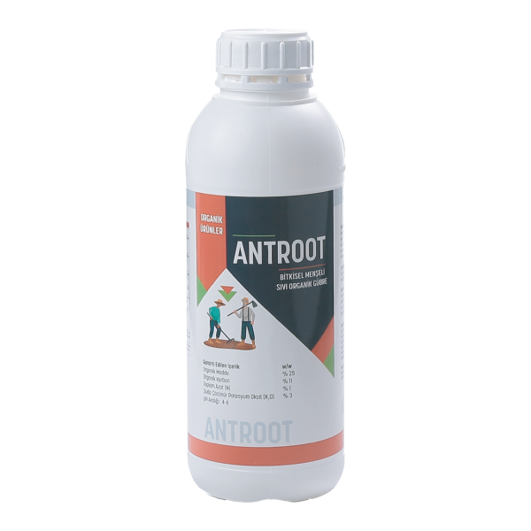 ANTROOT